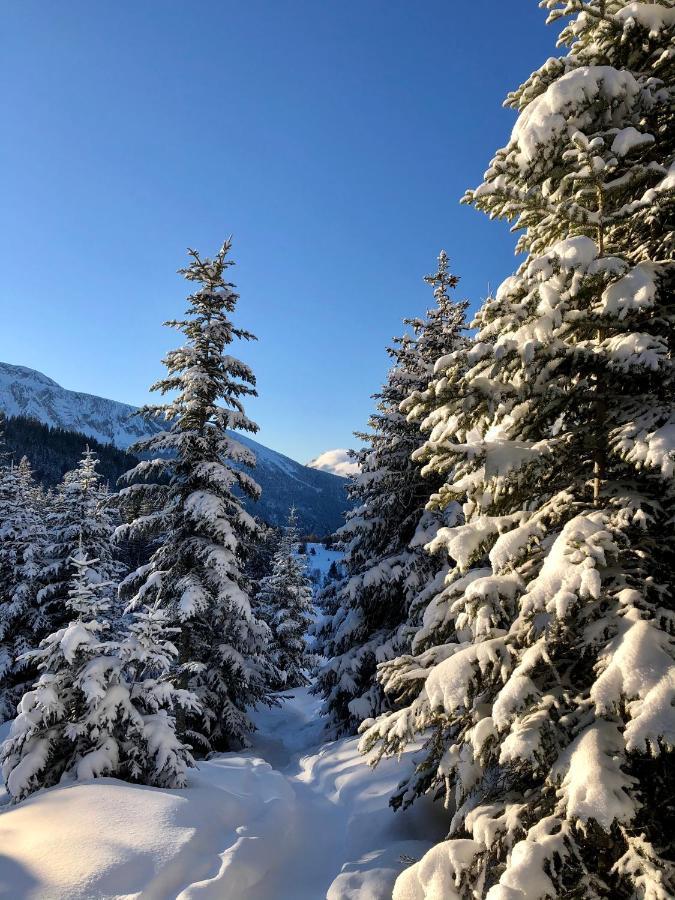 T2- 4Pers- Chamrousse Bachat Bouloud 아파트 외부 사진