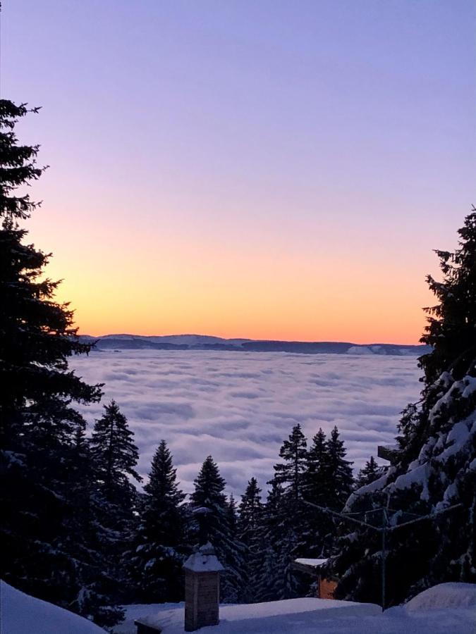T2- 4Pers- Chamrousse Bachat Bouloud 아파트 외부 사진
