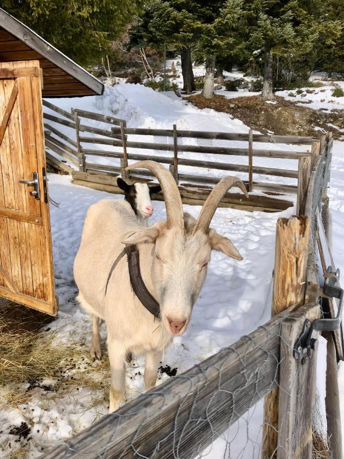 T2- 4Pers- Chamrousse Bachat Bouloud 아파트 외부 사진
